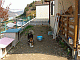 �P�N��