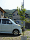 �P�N��