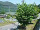 �P�N��