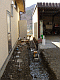 NTT�d�b�H��