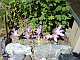�Q�N��