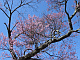 �R�N��