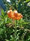 �R�N��