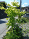�S�N��