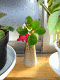 �S�N��